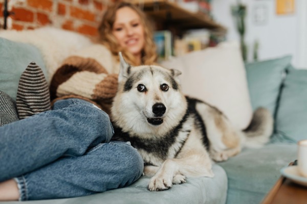 Family enjoying time together